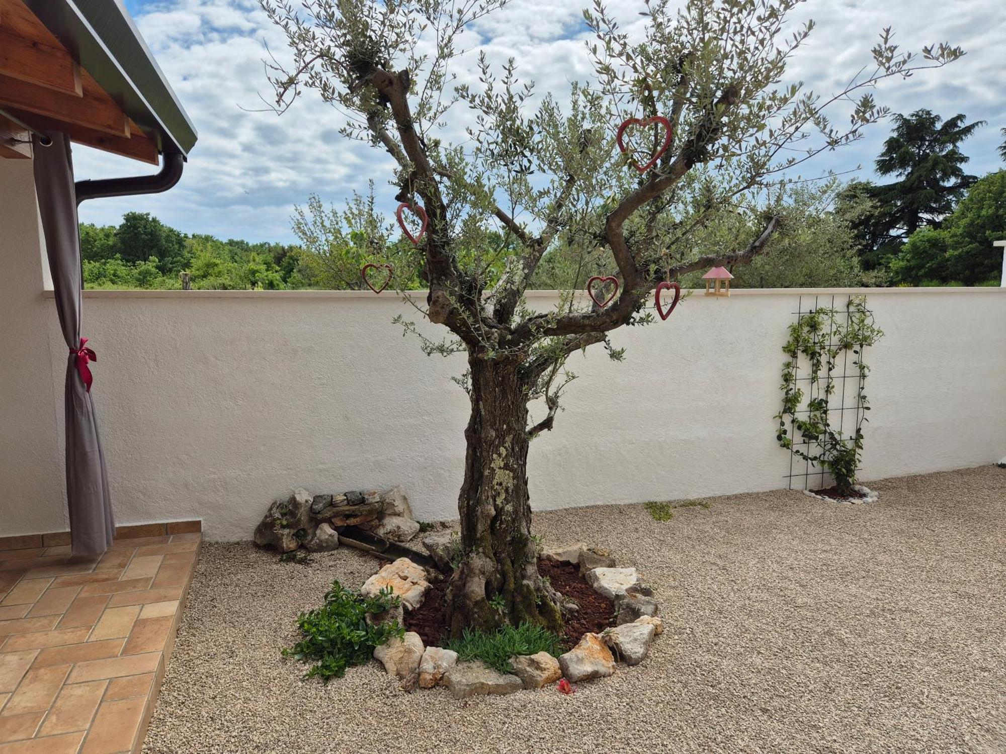 Apartment Vinja Porec - Privat Garden - Whirlpool 外观 照片