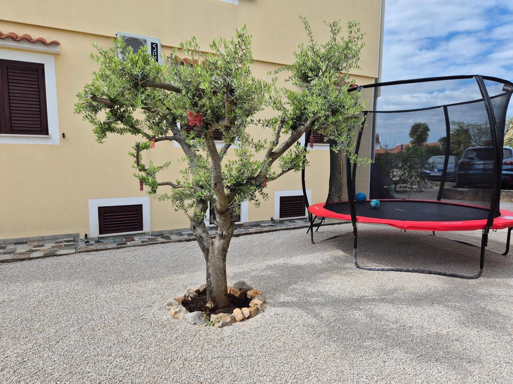 Apartment Vinja Porec - Privat Garden - Whirlpool 外观 照片